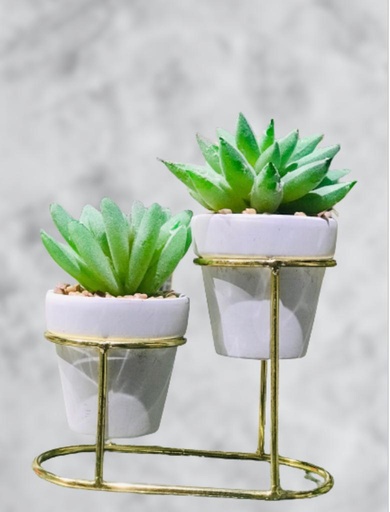 [Loc-ova-05392] Cactus Table Tobs